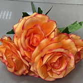 Цвет. Розы букет 5 голов 5 веток 50см (20)