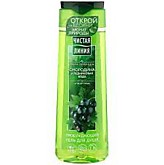 Гель д/душа ЧЛ 250мл в ассорт. (12)