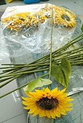 Цвет. Подсолнух одиночный  (20)