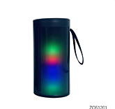 Колонка порт.ZQS1201(100)