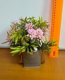 Растение декор. в ведерке OY-725 (6)